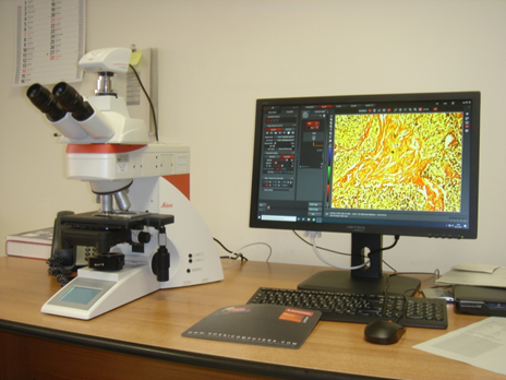 Microscopio